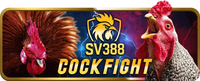 Tăng vốn cược
